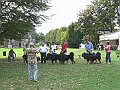 img 188